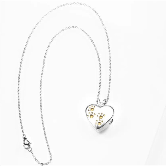 Steel Silver Pet Urn Necklace - Picture 2 of 4